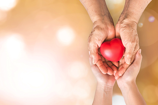 Quatre mains tenant un coeur. Quatre mains tenant un coeur.