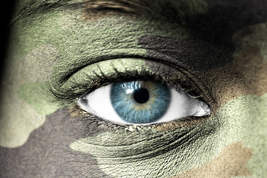 An eye of a person wearing camouflage face paint WREN leverages their collective experience and expertise to amplify the voices and needs of military women