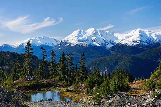 Speak up for a seniors strategy in BC! Speak up for a seniors strategy in BC!