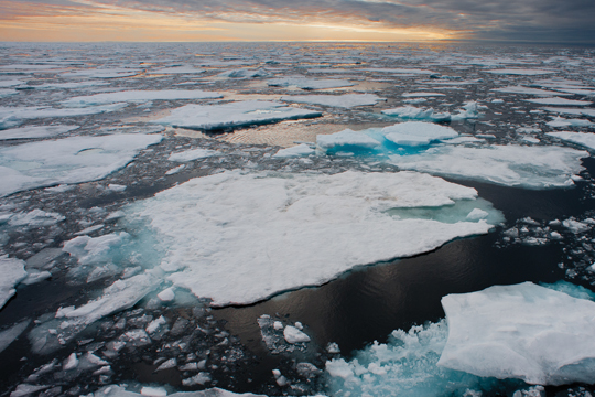 Radeaux de glace en train de fondre dans l’océan Arctique.