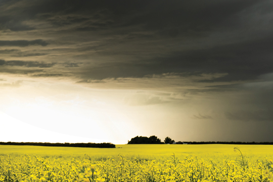 Prairie land Storm on the horizon.