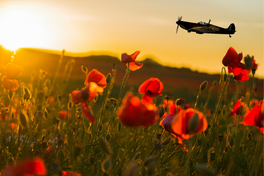 Avion Spitfire survolant un champ de coquelicots au coucher du soleil.