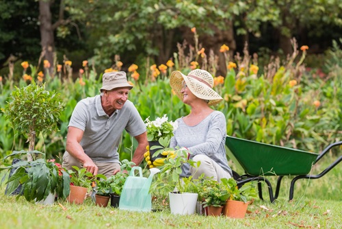 Un homme et une femme souriante tout en jardinage. /></p>
<p>Au fil du temps, j'ai découvert qu'on peut tout autant aimer le jardinage que ses résultats. Vous trouverez ci-dessous les dix principales leçons que j'ai apprises. </p>
<ol>
<li>Commencez par dresser un plan. J'avais l'habitude de planter ici et là, à la va-comme-je-te-pousse. Un jour, ma belle-sœur à la main verte m'a suggéré de faire un plan pour tenir compte de la lumière solaire et de ma disponibilité. Suivre sa suggestion a tout changé.</li>
<li>Achetez des outils convenables. Il est possible de perdre beaucoup de temps à essayer de dégager une platebande à l'aide du mauvais outil. Croyez-moi sur parole, c'est exactement ce que j'ai fait. Ensuite, j'ai découvert le bonheur d'utiliser le bon outil. Et <a href= Un homme et une femme souriante tout en jardinage.