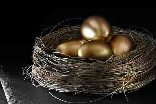 Golden eggs in a nest.