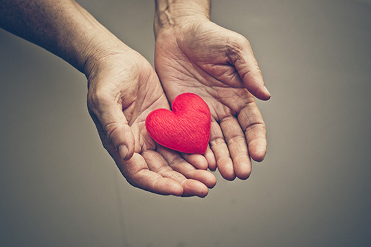 ​​Old hands of the elderly giving a red heart.